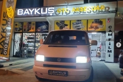 baykus2