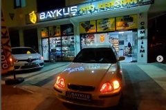 baykus3